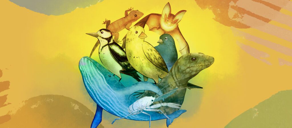 El carnaval de los animales… también de Canarias